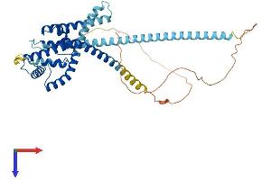 AlphaFold protein structure predicition of Human Recombinant KCNK2 Protein, UniprotID O95069