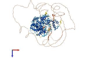 AlphaFold protein structure predicition of Human Recombinant ALPK1 Protein, UniprotID Q96QP1