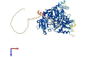 AlphaFold protein structure predicition of Human Recombinant ACSBG1 Protein, UniprotID Q96GR2