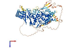 AlphaFold protein structure predicition of Human Recombinant BBS10 Protein, UniprotID Q8TAM1