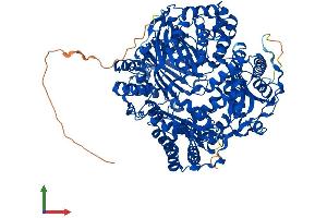 AlphaFold protein structure predicition of Human Recombinant IDE Protein, UniprotID P14735