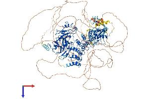 AlphaFold protein structure predicition of Mouse Recombinant Ehmt1 Protein, UniprotID Q5DW34