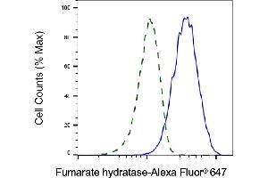 Validation of Fumarate hydratase knockdown using flow cytometry. (FH anticorps)