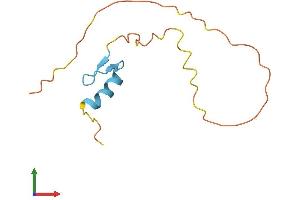 AlphaFold protein structure predicition of Human Recombinant ZNF861P Protein, UniprotID O60384