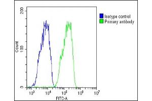 Overlay histogram showing HepG2 cells stained with (ABIN652227 and ABIN2840949)(green line).