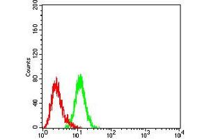 Flow cytometric analysis of K562 cells using CD147 mouse mAb (green) and negative control (red).