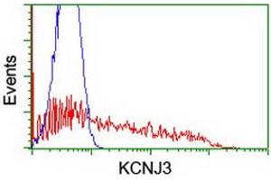 Flow Cytometry (FACS) image for anti-Potassium Inwardly-Rectifying Channel, Subfamily J, Member 3 (KCNJ3) (AA 279-501) antibody (ABIN1491314) (KCNJ3 anticorps  (AA 279-501))