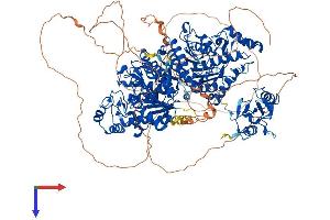 AlphaFold protein structure predicition of Human Recombinant HDAC6 Protein, UniprotID Q9UBN7