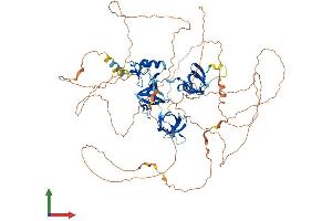 AlphaFold protein structure predicition of Mouse Recombinant Sh3rf2 Protein, UniprotID Q8BZT2