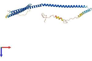 AlphaFold protein structure predicition of Mouse Recombinant Ccdc83 Protein, UniprotID Q9D4V3