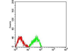 Flow cytometric analysis of SW480 cells using MUC2 mouse mAb (green) and negative control (red).