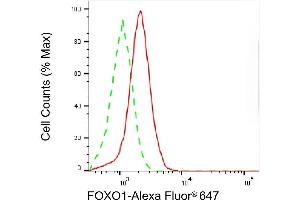 Flow cytometric analysis of FOXO1 expression in HepG2 cells using FOXO1 antibody (ABIN7798643), 1:2,000). (Recombinant FOXO1 anticorps)