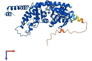 AlphaFold protein structure predicition of Human Recombinant SEPSECS Protein, UniprotID Q9HD40