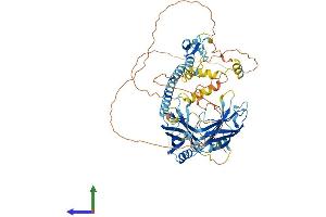 AlphaFold protein structure predicition of Human Recombinant SYTL4 Protein, UniprotID Q96C24