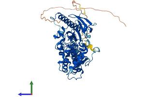AlphaFold protein structure predicition of Human Recombinant FUT11 Protein, UniprotID Q495W5