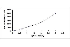 CD80 (CD80) ELISA Kit