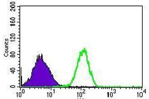 Flow cytometric analysis of HEK293 cells using RPL18A mouse mAb (green) and negative control (purple).