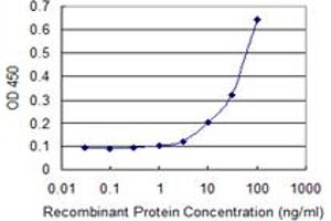 Detection limit for recombinant GST tagged MKNK1 is 1 ng/ml as a capture antibody. (MKNK1 anticorps  (AA 1-465))