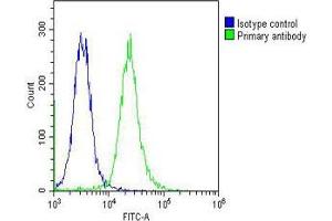 Overlay histogram showing K562 cells stained with (ABIN653363 and ABIN2842839) (green line).