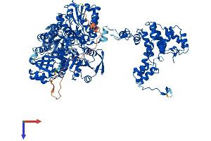 AlphaFold protein structure predicition of Mouse Recombinant Acly Protein, UniprotID Q91V92