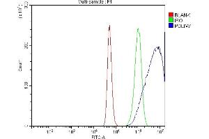 Flow Cytometry analysis of A431 cells using anti-PDLIM7 antibody (ABIN7601048).