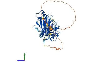AlphaFold protein structure predicition of Human Recombinant SMAD1 Protein, UniprotID Q15797