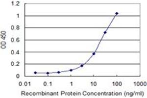 anti-Tu Translation Elongation Factor, Mitochondrial (Tufm) (AA 40-455) antibody