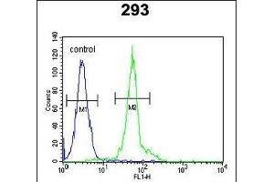 anti-Intraflagellar Transport 172 Homolog (IFT172) (AA 28-57), (N-Term) antibody