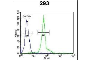 IF Antibody (N-term) (ABIN651581 and ABIN2840310) flow cytometric analysis of 293 cells (right histogram) compared to a negative control cell (left histogram). (IFT172 anticorps  (N-Term))