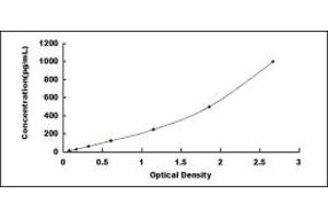 Typical standard curve (Nodal Kit ELISA)