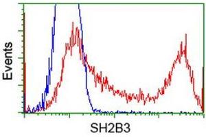 HEK293T cells transfected with either RC218359 overexpress plasmid (Red) or empty vector control plasmid (Blue) were immunostained by anti-SH2B3 antibody (ABIN2454471), and then analyzed by flow cytometry. (SH2B3 anticorps)