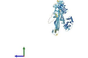 AlphaFold protein structure predicition of Mouse Recombinant Smc3 Protein, UniprotID Q9CW03