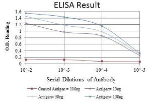 Red: Control Antigen (100 ng), Purple: Antigen (10 ng), Green: Antigen (50 ng), Blue: Antigen (100 ng),