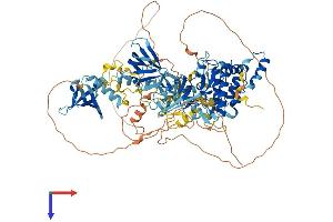 AlphaFold protein structure predicition of Mouse Recombinant Prkd3 Protein, UniprotID Q8K1Y2