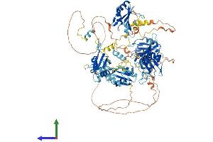 AlphaFold protein structure predicition of Human Recombinant RBM19 Protein, UniprotID Q9Y4C8