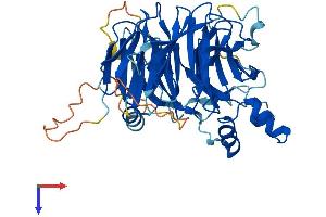 AlphaFold protein structure predicition of Human Recombinant WSB1 Protein, UniprotID Q9Y6I7