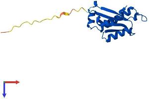 AlphaFold protein structure predicition of Human Recombinant PTRHD1 Protein, UniprotID Q6GMV3