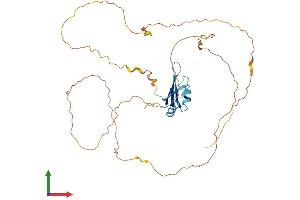 AlphaFold protein structure predicition of Human Recombinant RBMXL1 Protein, UniprotID Q96E39