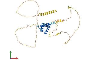 AlphaFold protein structure predicition of Mouse Recombinant Shox2 Protein, UniprotID P70390