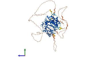 AlphaFold protein structure predicition of Mouse Recombinant Ppm1e Protein, UniprotID Q80TL0