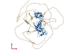 AlphaFold protein structure predicition of Mouse Recombinant Cpeb3 Protein, UniprotID Q7TN99