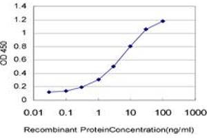 Detection limit for recombinant GST tagged BTBD1 is approximately 0.