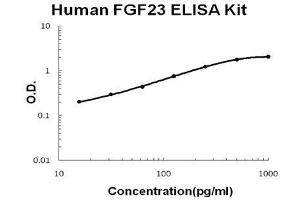 Human  FGF23 PicoKine ELISA Kit standard curve (FGF23 Kit ELISA)