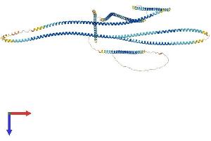 AlphaFold protein structure predicition of Mouse Recombinant Pmfbp1 Protein, UniprotID Q9WVQ0