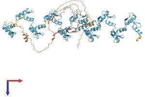AlphaFold protein structure predicition of Human Recombinant ZNF160 Protein, UniprotID Q9HCG1