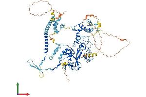 AlphaFold protein structure predicition of Mouse Recombinant Ezh1 Protein, UniprotID P70351