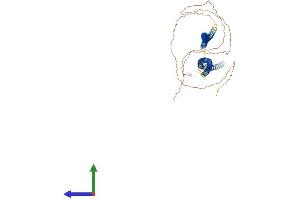 AlphaFold protein structure predicition of Mouse Recombinant Krt75 Protein, UniprotID Q8BGZ7