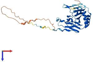 AlphaFold protein structure predicition of Mouse Recombinant Alkbh3 Protein, UniprotID Q8K1E6