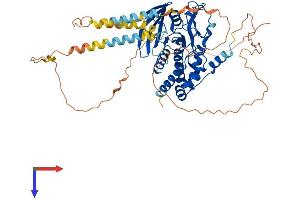 AlphaFold protein structure predicition of Human Recombinant PTPN5 Protein, UniprotID P54829