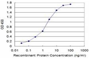 Detection limit for recombinant GST tagged USP9X is approximately 0. (USP9X anticorps  (AA 1-90))